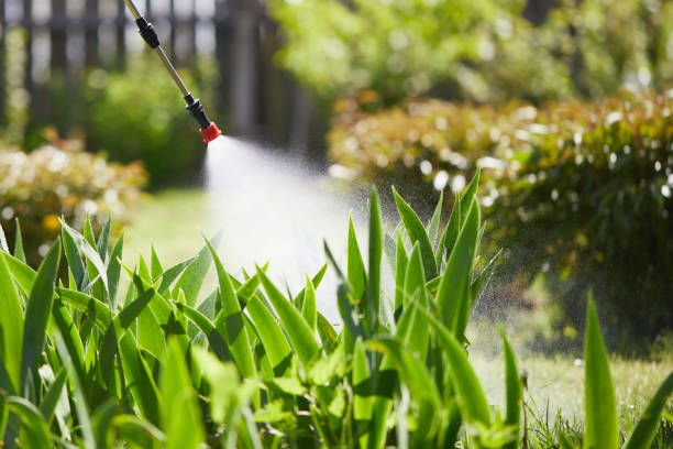 24/7 Emergency Wasp Removal experts in Morrisville, NC