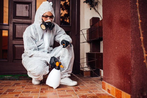 Reliable Wasp Removal contractor in Morrisville, NC by Show Me Pest Control